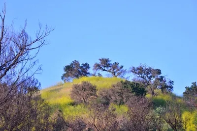 DSC_6212 (Large).JPG